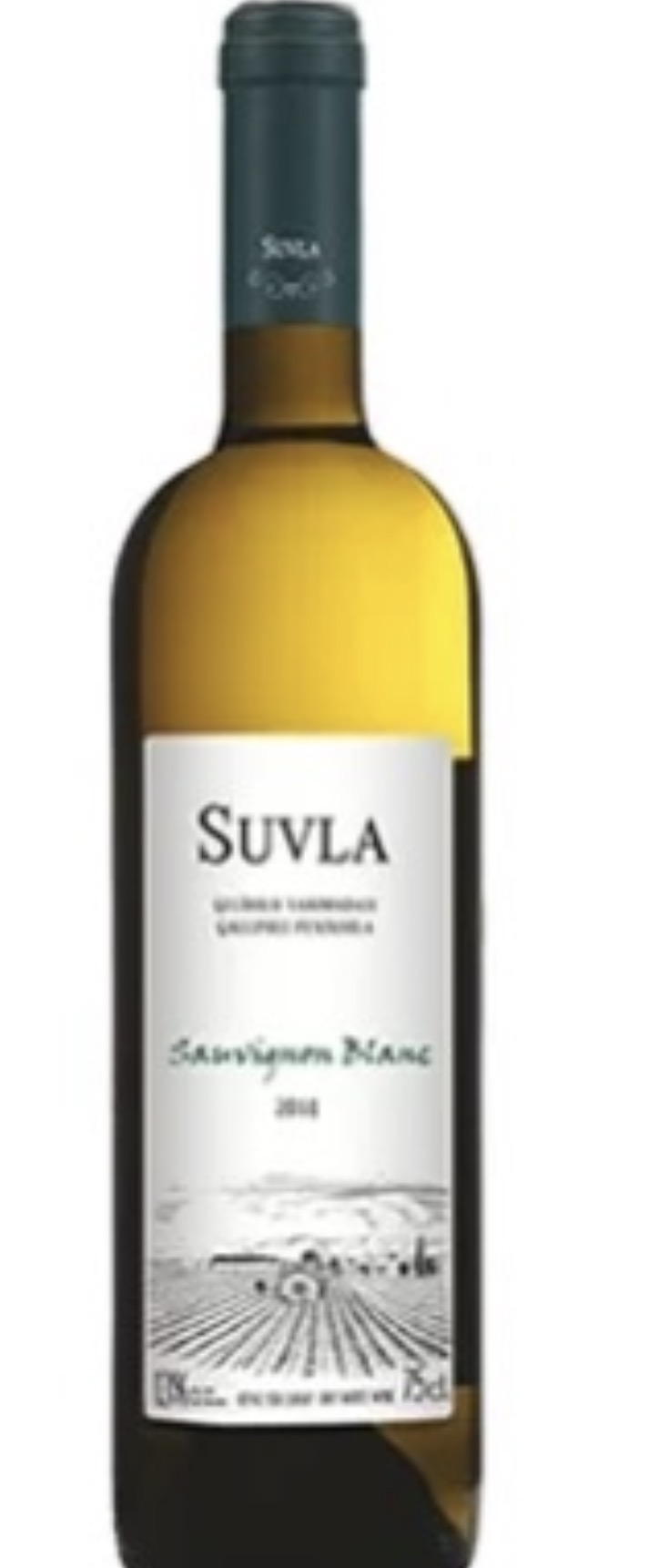 SAUVİGNON BLANC
